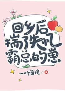 回乡后揣了失忆霸总的崽