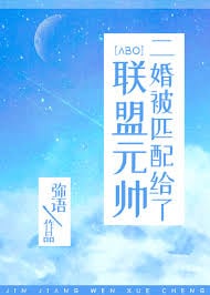 二婚被匹配给了联盟元帅