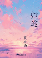 归途