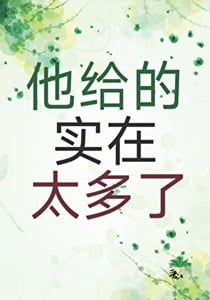 他给的实在太多了