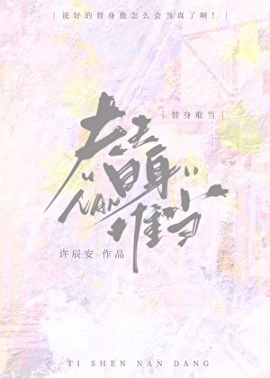 替身难当