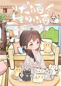 大猫生小猫